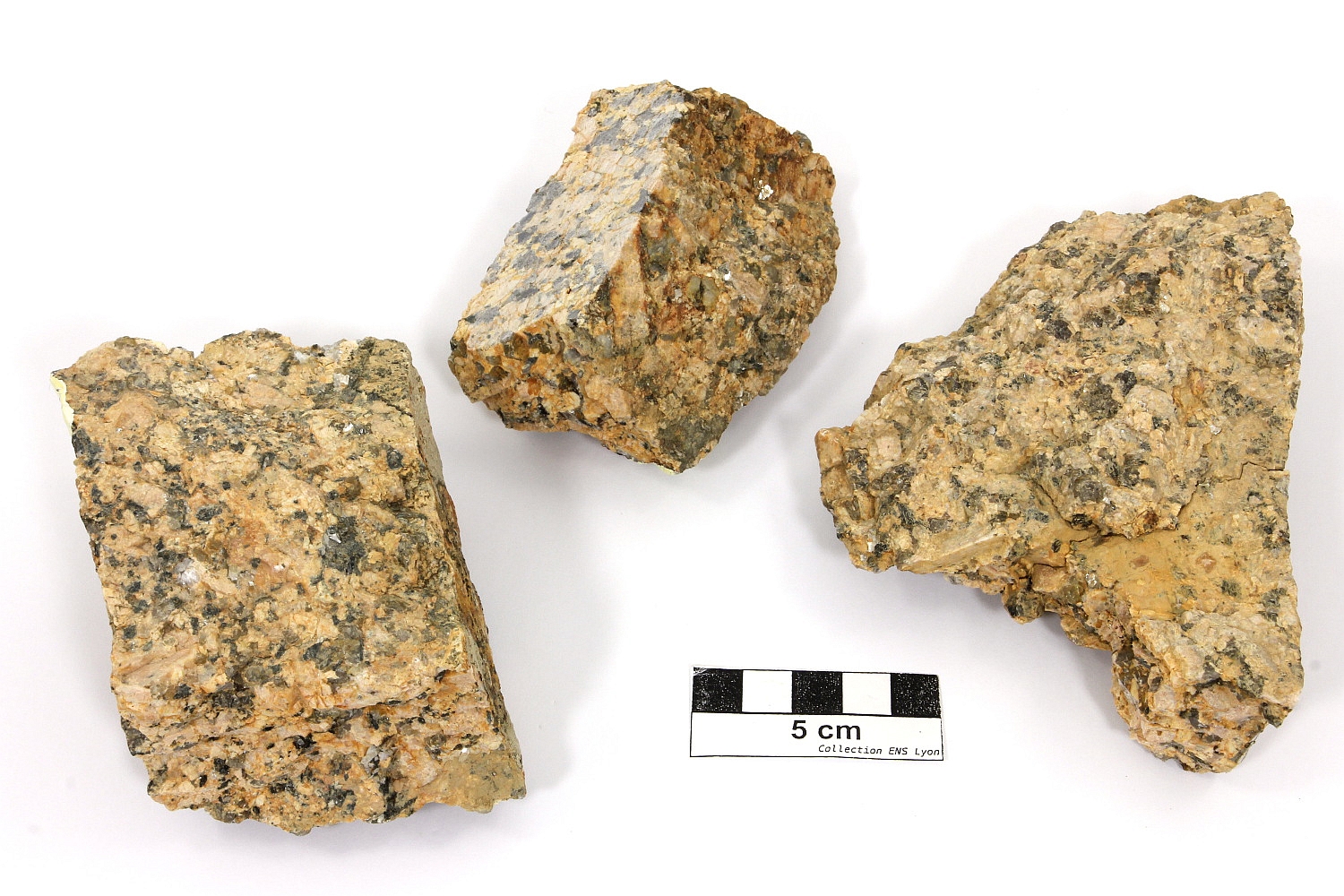 Granite grossier à deux micas Granite de Saint Sylvestre Massif central  La Crouzille Nord Est de La Crouzille