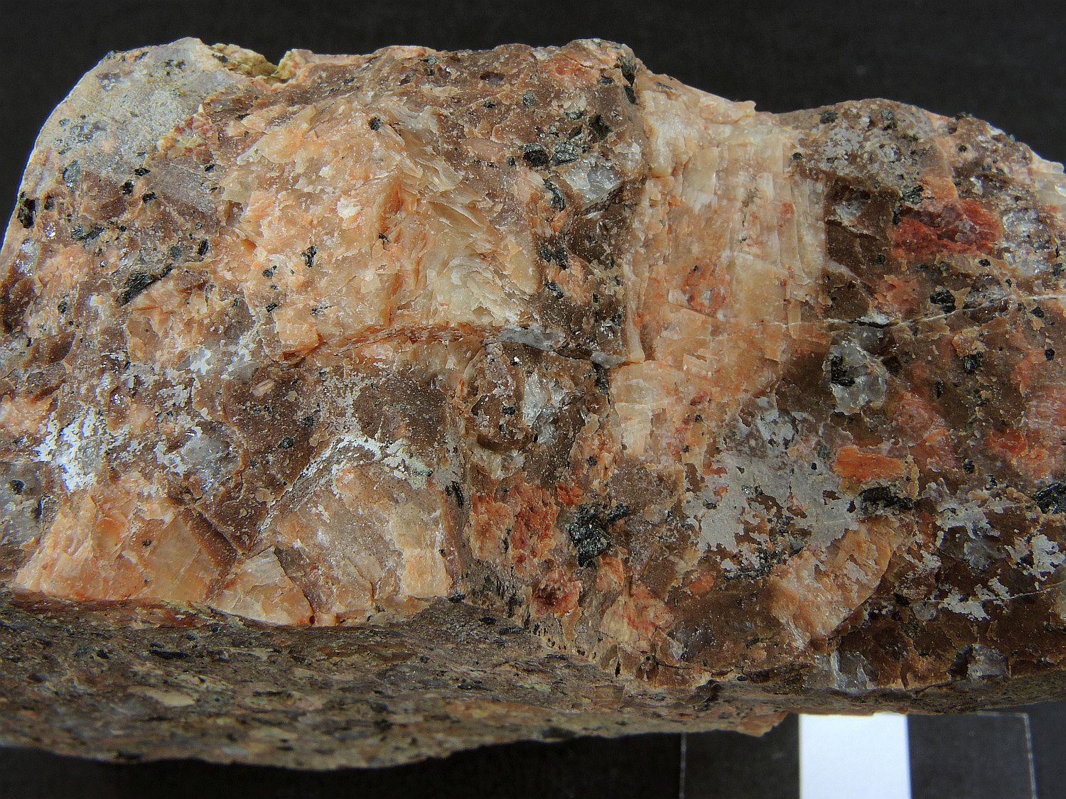 Rhyolite porphyrique Rhyolite viséenne de la Loire Massif central  Saint Victor sur Rhins 
