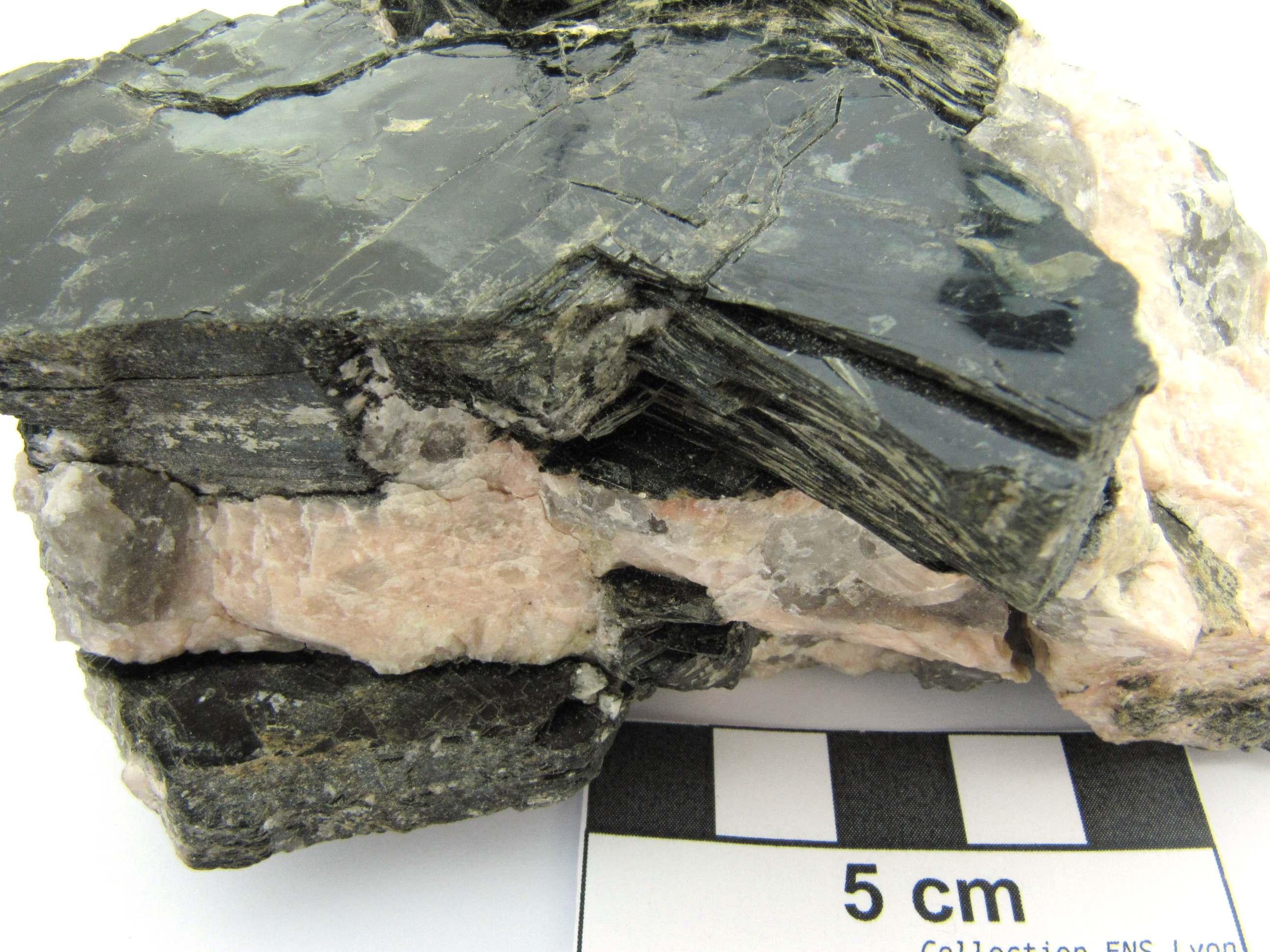 Biotite Biotites dans une pegmatite   Itremo 