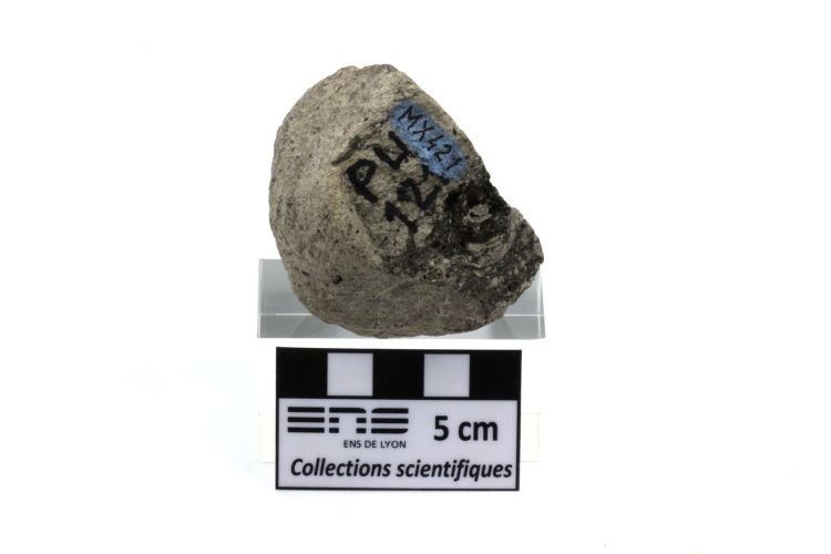 Andésite Andésite présentant des figures de mélange de magma Axe volcanique trans-mexicain Pico de Orizaba  