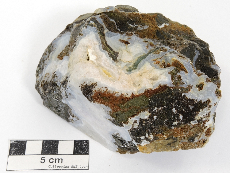 Calcédoine Calcédoine Petites Antilles Le François Le Bois Soldat