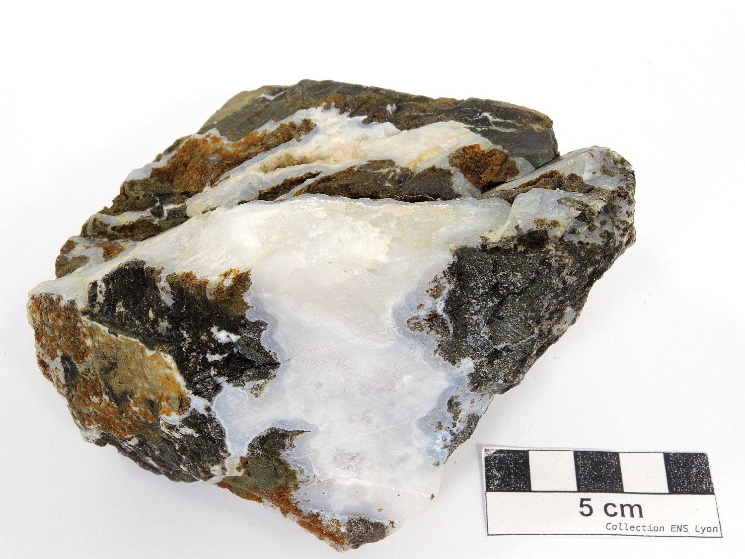 Calcédoine Calcédoine Petites Antilles  Le François Le Bois Soldat