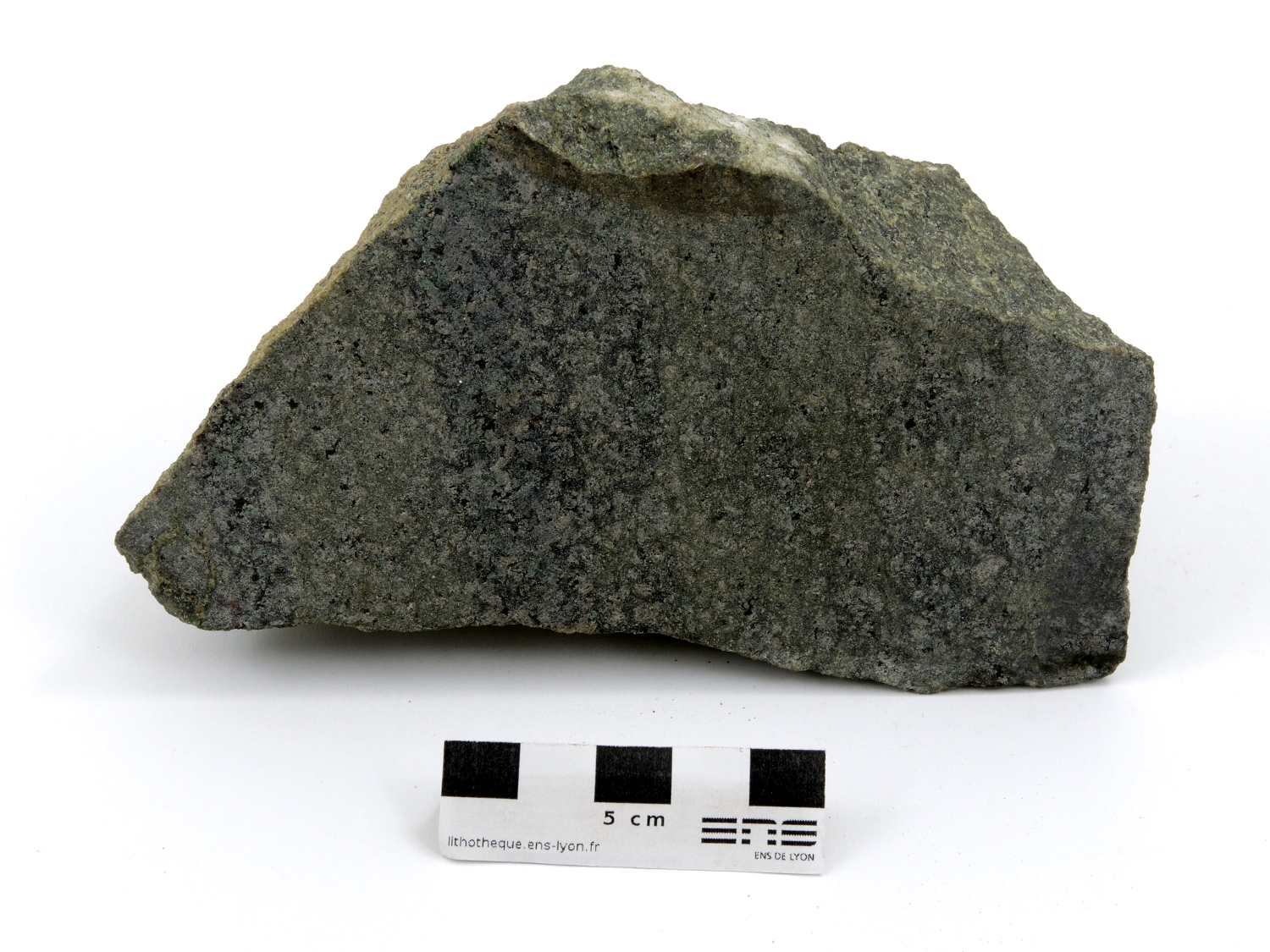 Lherzolite Lherzolite Pyrénées  Le Port Proximité de l’étang de Lers