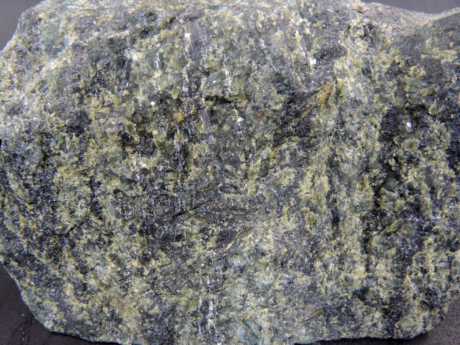 Lherzolite serpentinisée Lherzolite serpentinisée Pyrénées  Lourdios-Ichère Tos de la Coustelle
