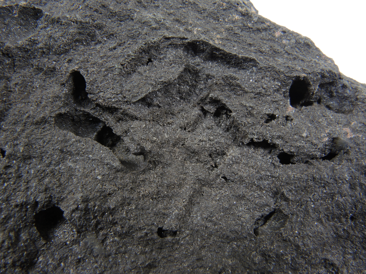 Basalte Basalte vacuolaire et aphyrique du Piton de la Fournaise Point chaud de La Réunion Piton de la Fournaise  