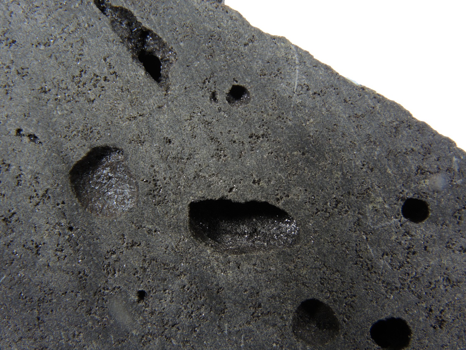 Basalte Basalte vacuolaire et aphyrique du Piton de la Fournaise Point chaud de La Réunion Piton de la Fournaise  