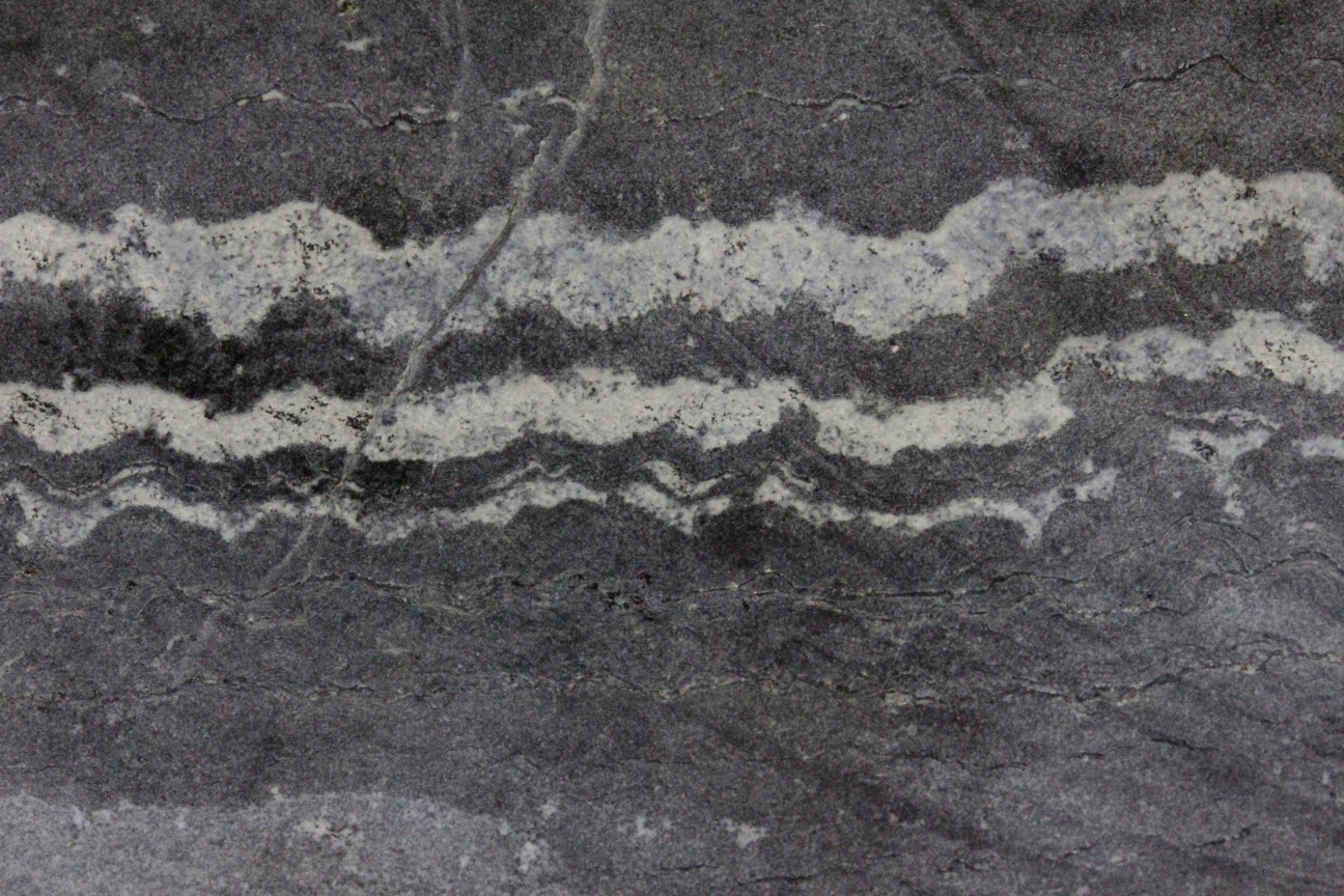 Stromatolites Stromatolites silicifiés    