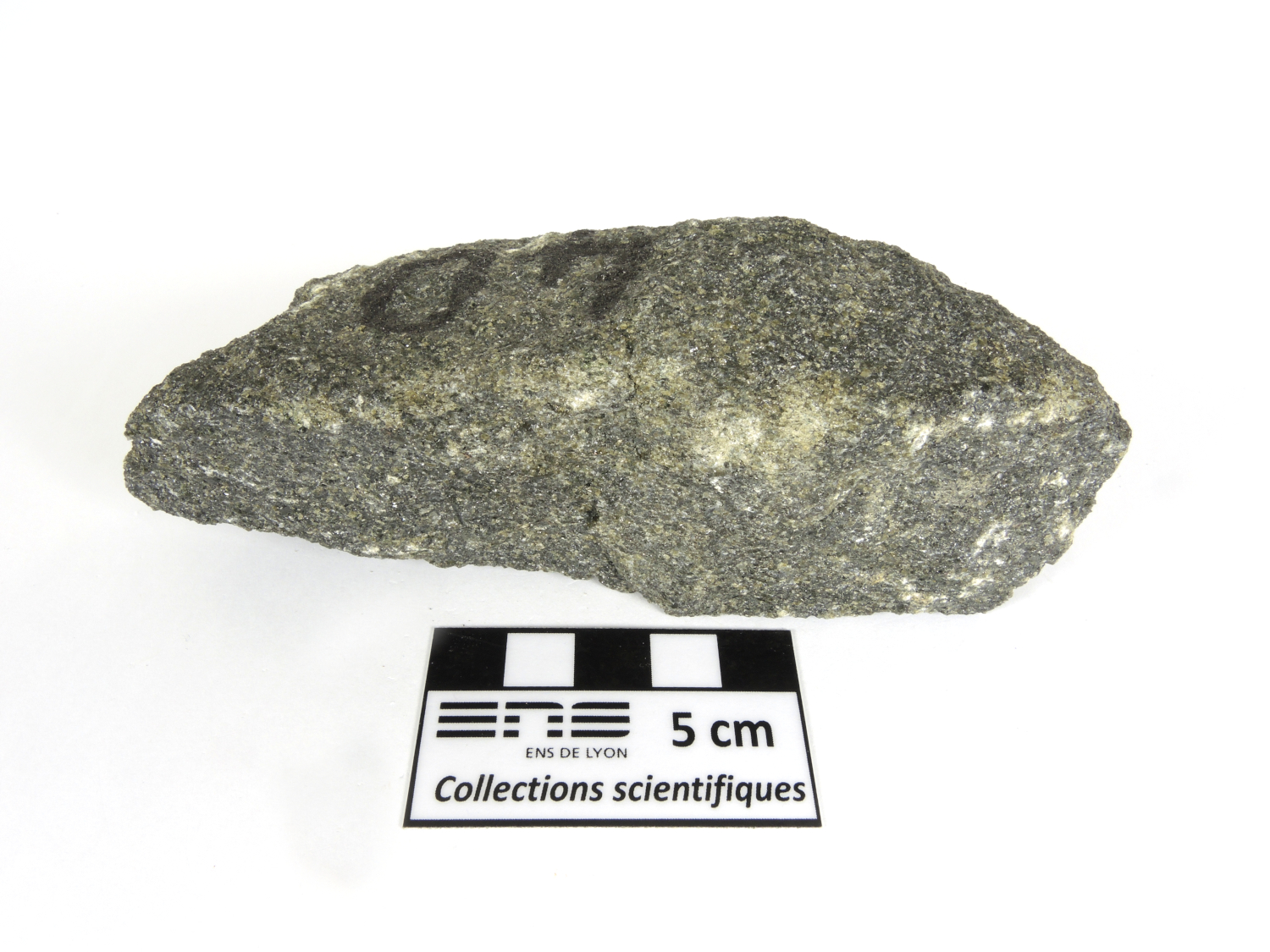 Péridotite à plagioclase Cumulât d’olivine et de plagioclase Province magmatique des Hébrides Rùm  