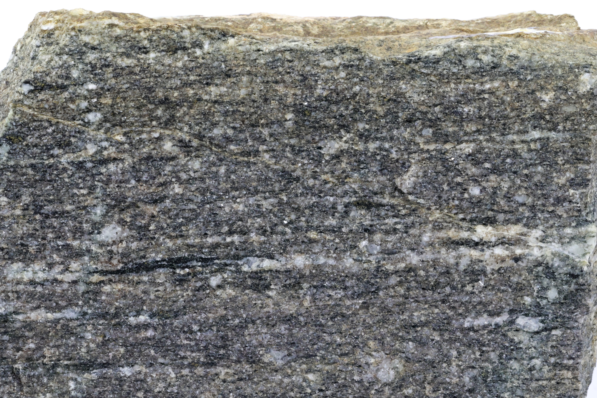 Gneiss amphibolitique Gneiss amphibolitique Vosges  Sainte-marie-aux-mines carrieres de Fertrupt