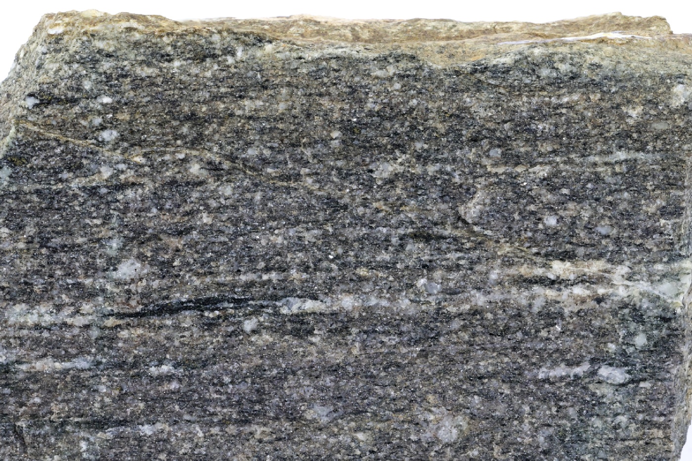Gneiss amphibolitique Gneiss amphibolitique Vosges Sainte-marie-aux-mines carrieres de Fertrupt