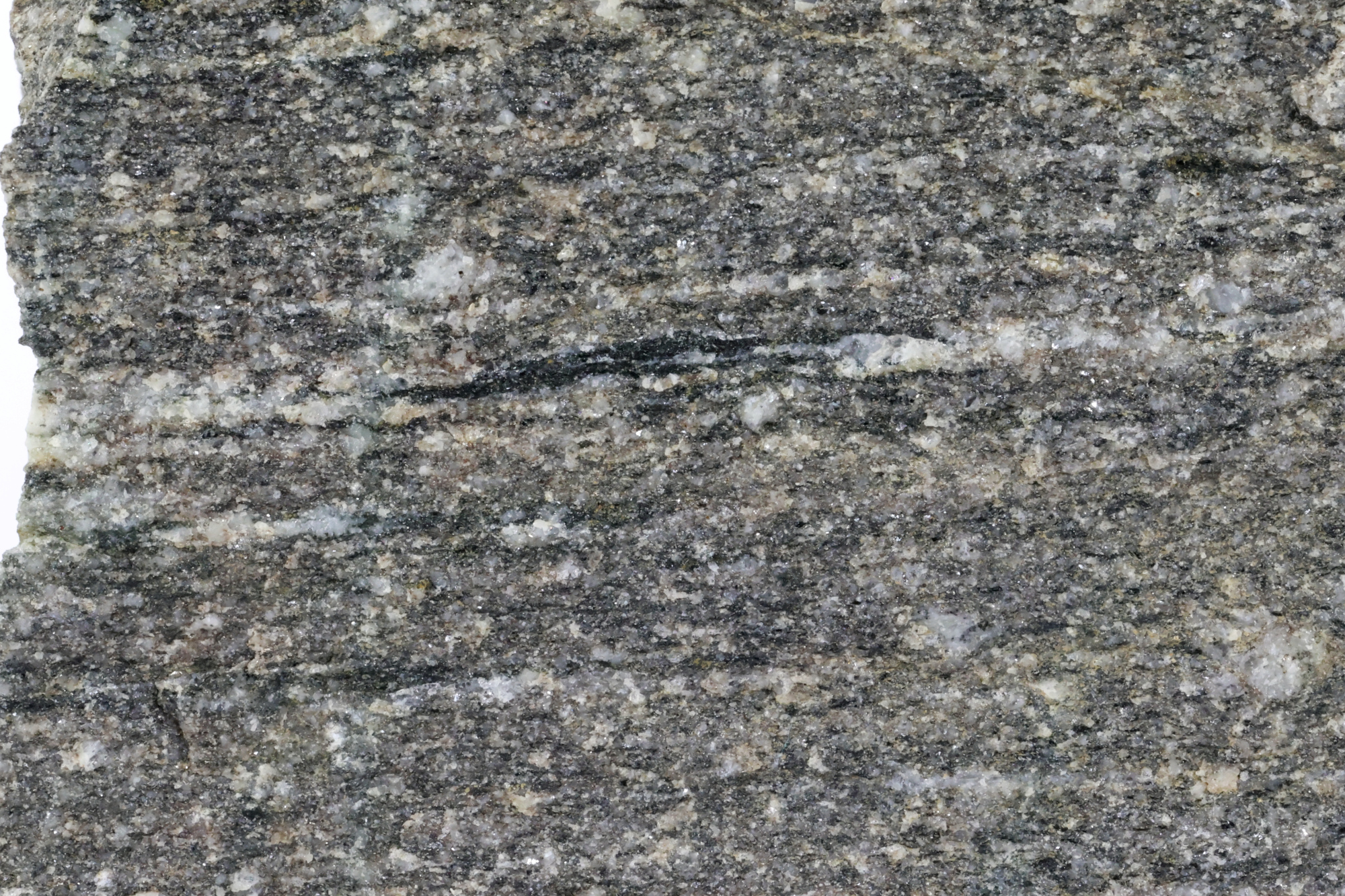 Gneiss amphibolitique Gneiss amphibolitique Vosges  Sainte-marie-aux-mines carrieres de Fertrupt