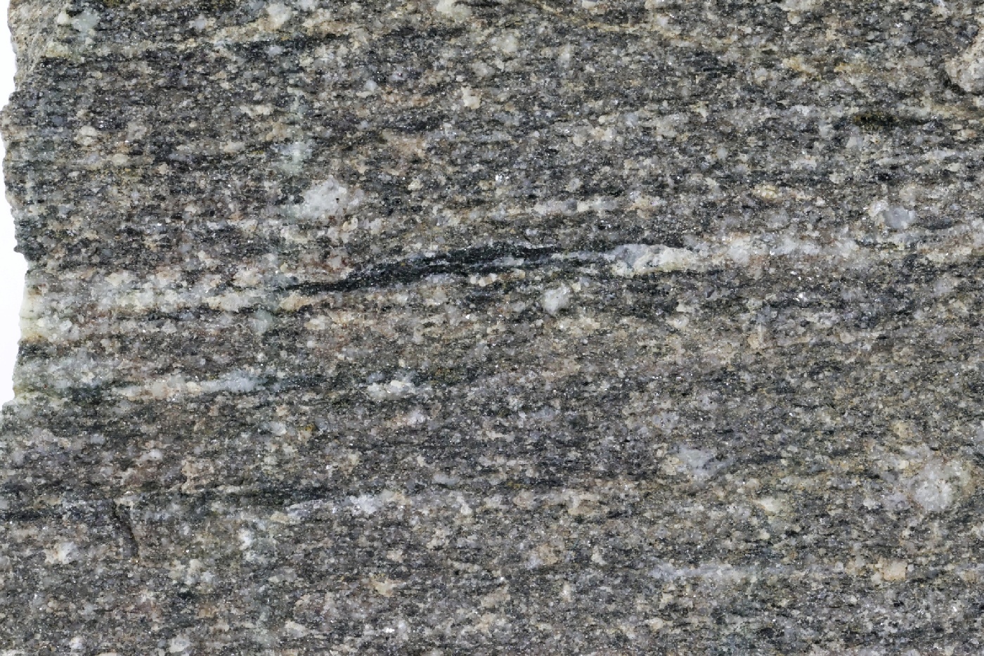 Gneiss amphibolitique Gneiss amphibolitique Vosges Sainte-marie-aux-mines carrieres de Fertrupt