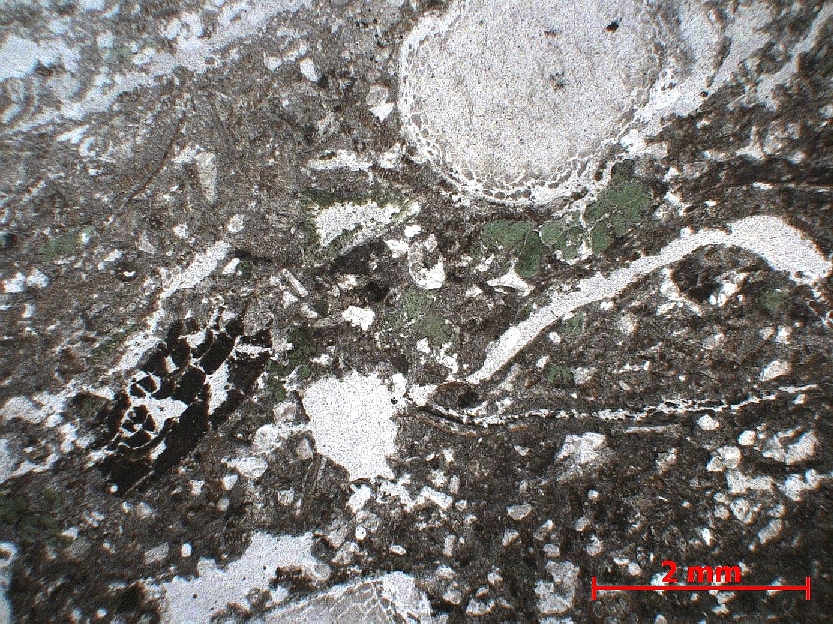  Microscope Molasse Molasse Alpes Massif des Aravis  