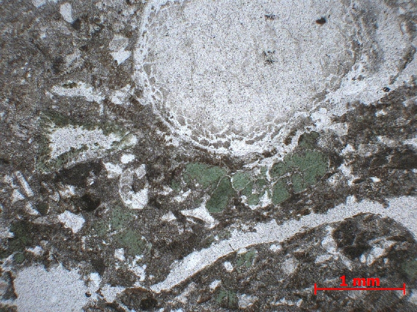  Microscope Molasse Molasse Alpes Massif des Aravis  