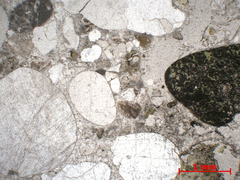  Microscope Molasse Molasse    