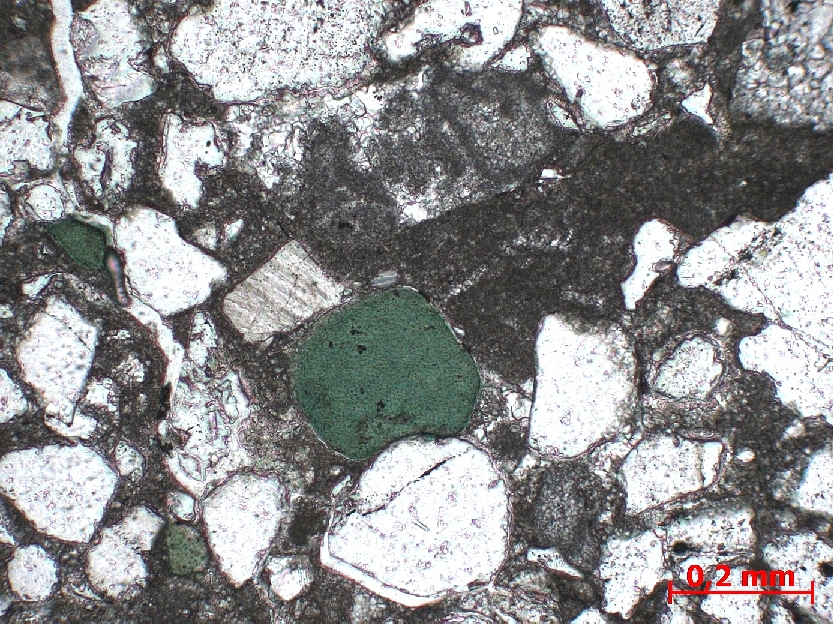  Microscope Molasse Grès molassique Alpes  Frangy Bordure de route Mons-Frangy