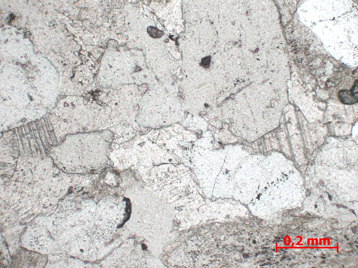 Grès Grès à ciment calcaire    