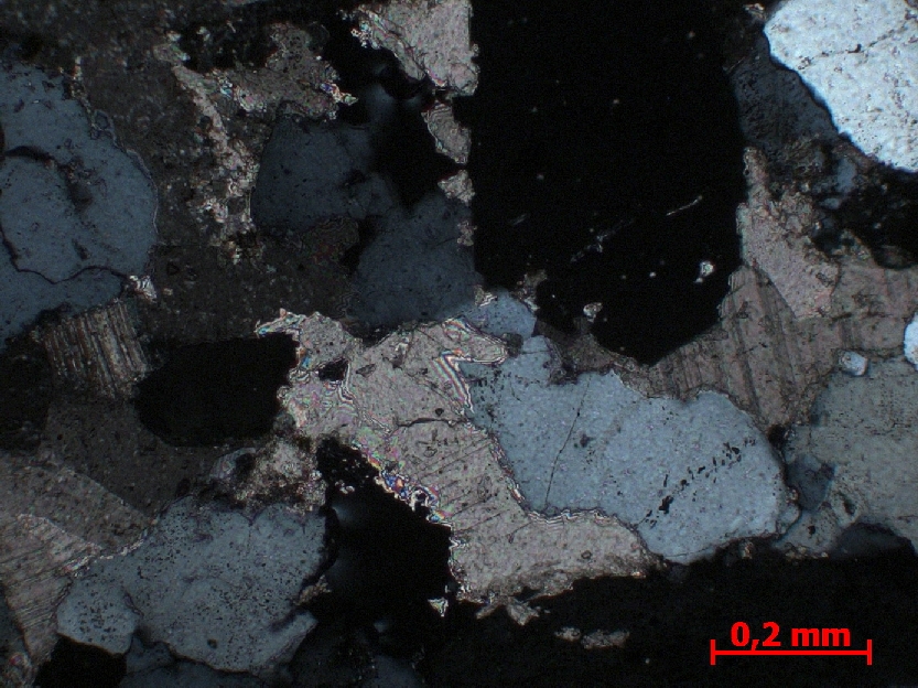  Microscope Grès Grès à ciment calcaire    