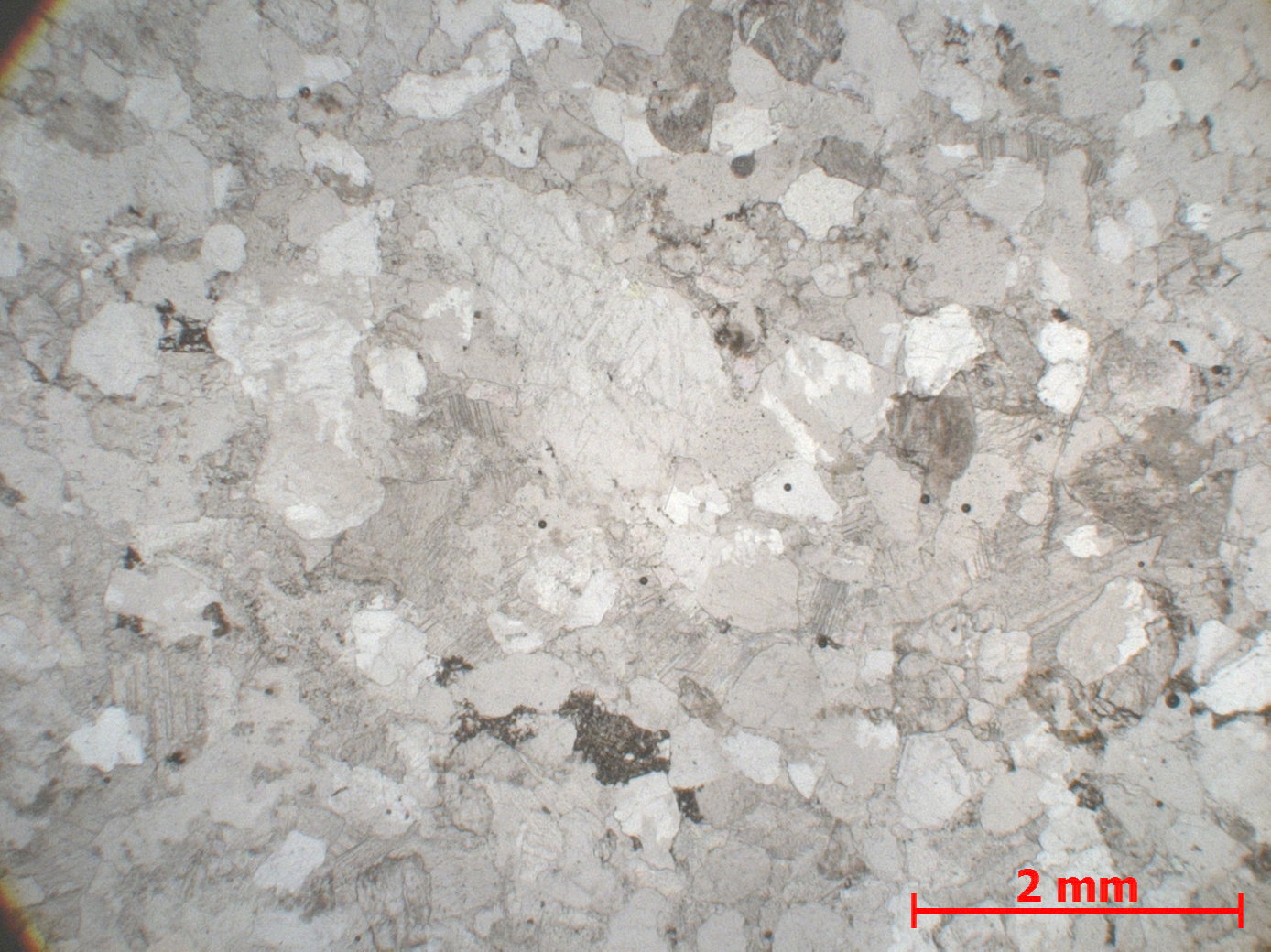 Grès Grès à ciment calcaire   Privas 