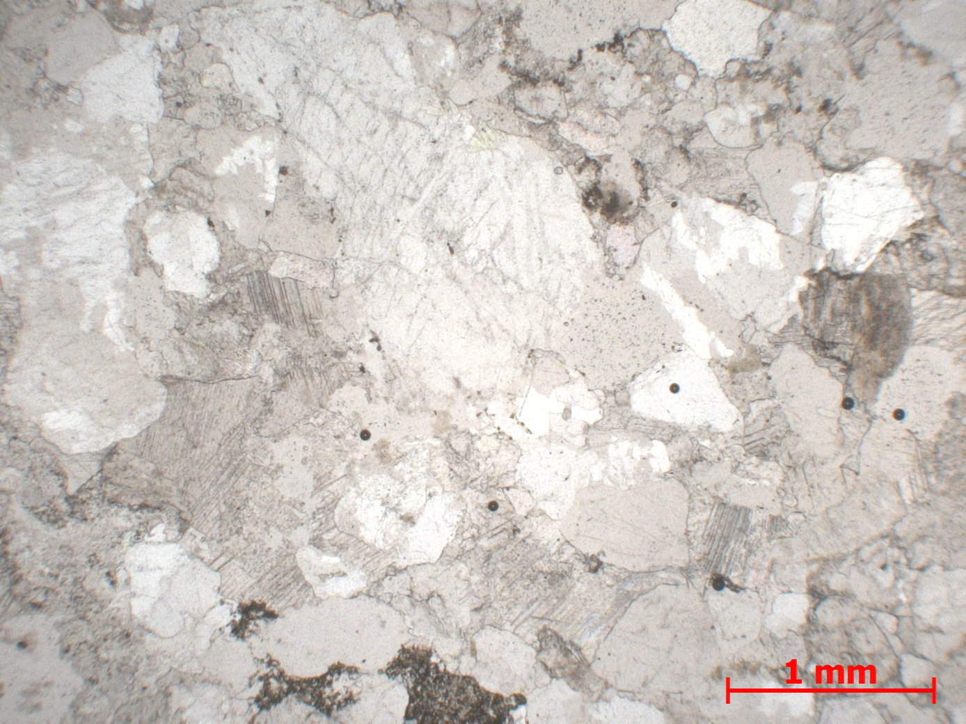 Grès Grès à ciment calcaire   Privas 