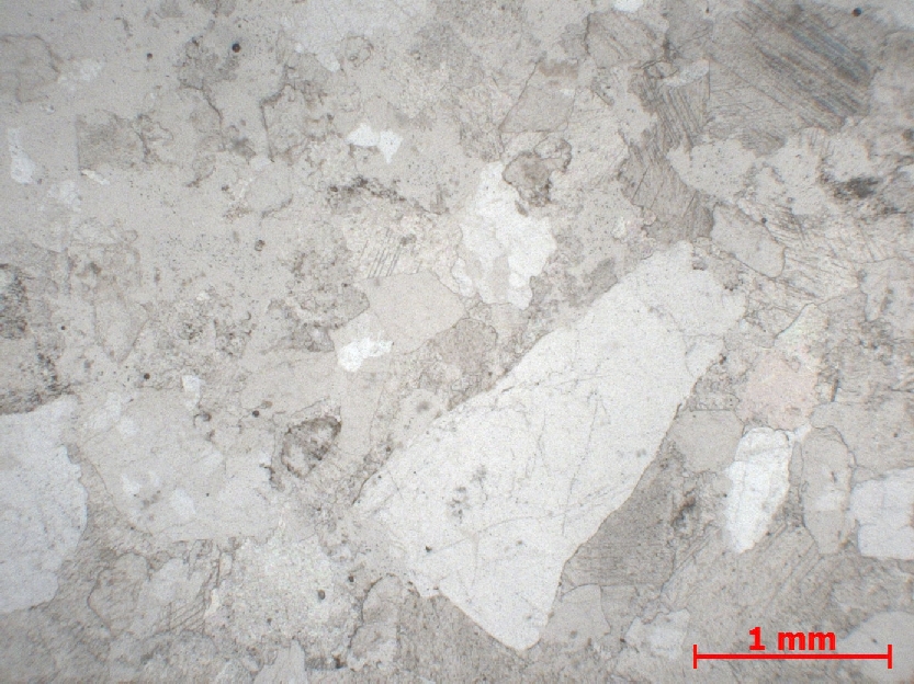  Microscope Grès Grès à ciment calcaire   Privas 