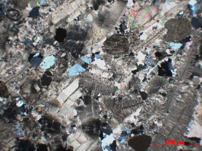  Microscope Grès calcaire à orbitoïdes et nummulites Grès calcaire à orbitoïdes et nummulites Alpes Massif des Bornes  