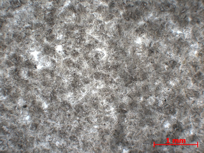  Microscope Dolomie Dolomie du Larzac Massif central Le causse du Larzac  