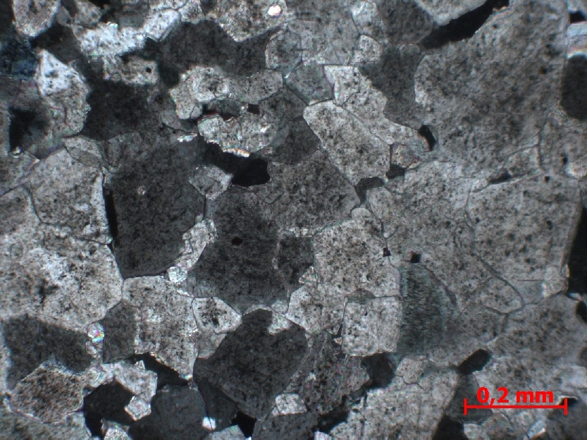  Microscope Dolomie Dolomie du Larzac Massif central Le causse du Larzac  