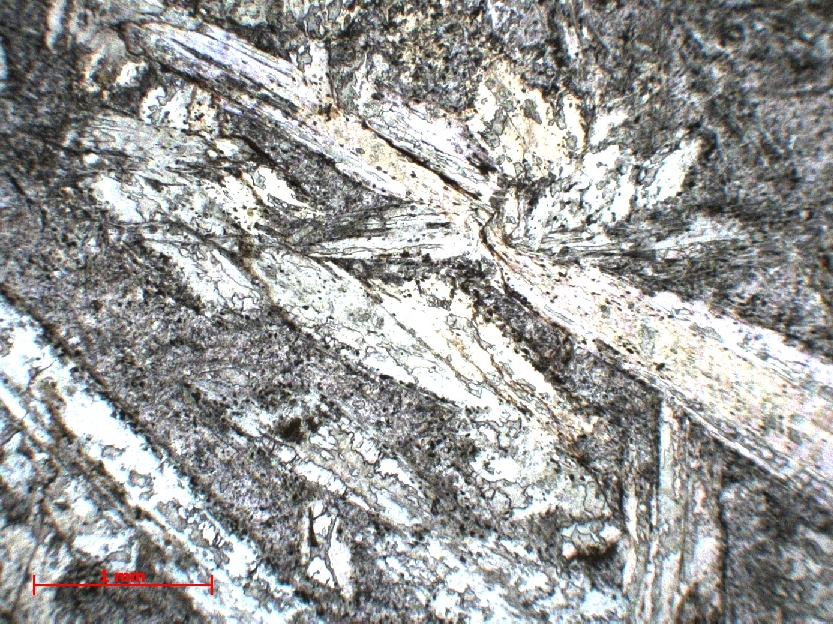  Microscope Komatiite Komatiite Ceinture de Barberton Komati valley Tjakastad 