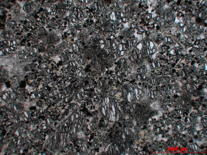  Microscope Kimberlite kimberlite de Sarfartoq Sarfartoq region  Kangerlussuaq 