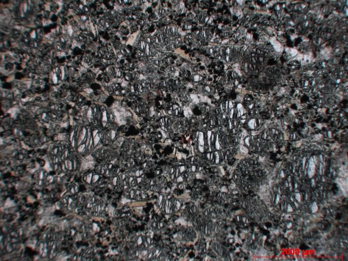  Microscope Kimberlite kimberlite de Sarfartoq Sarfartoq region  Kangerlussuaq 