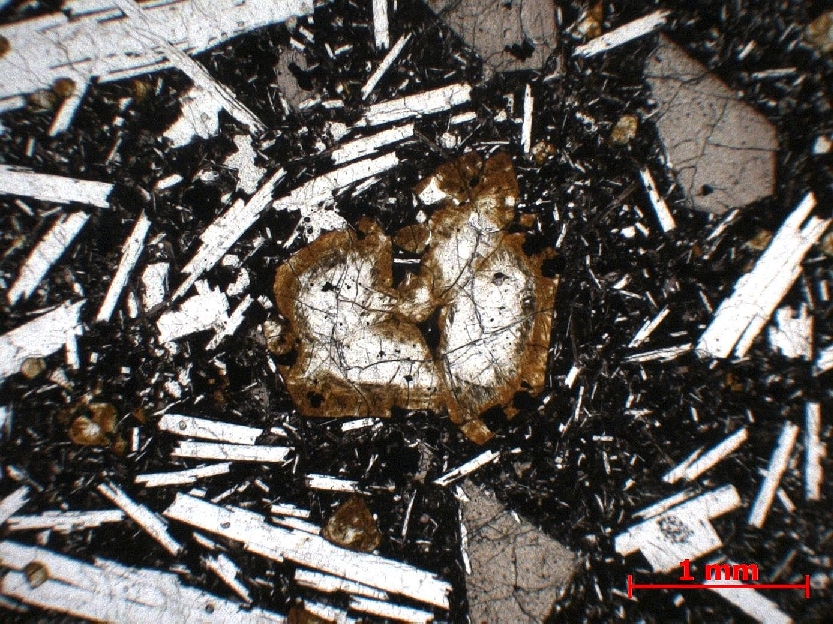  Microscope Basalte Basalte demi-deuil Massif central Mont Dore Murat-le-Quaire La Banne d’Ordanche