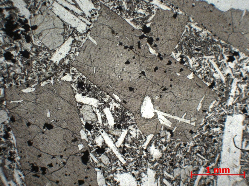  Microscope Basalte Basalte demi-deuil  Mont Dore Murat-le-Quaire La Banne d’Ordanche