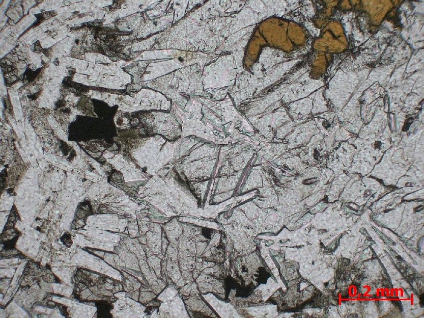  Microscope Ophite Dolérite du filon de Brenterc’h Massif armoricain  Brenterc’h Pointe de Brenterc’h