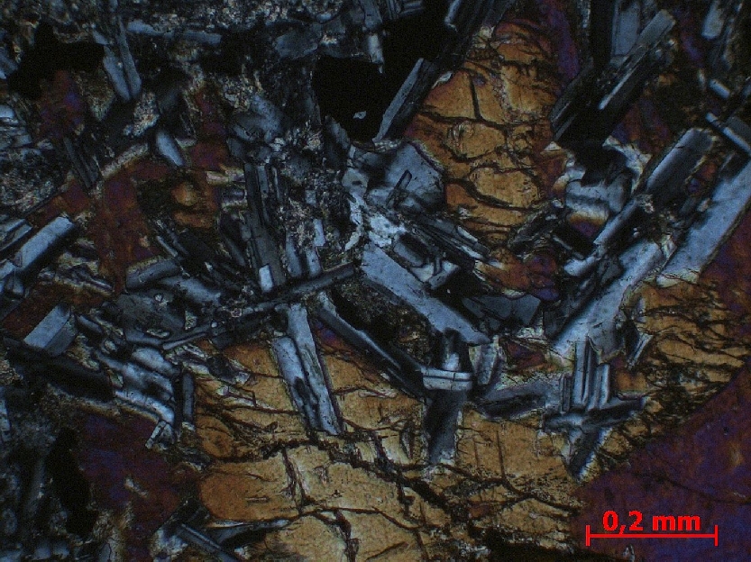  Microscope Ophite Dolérite du filon de Brenterc’h Massif armoricain  Brenterc’h Pointe de Brenterc’h