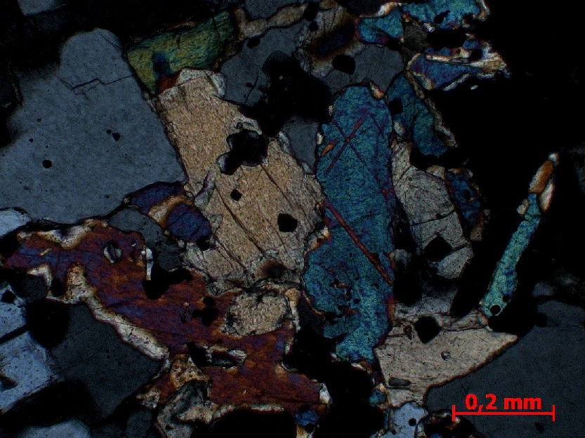  Microscope Basanite à néphéline et leucite Basanite du Nyiragongo Montagnes des Virunga Nyiragongo  