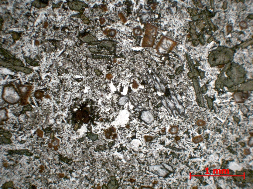  Microscope Basanite Basanite à haüyne et néphéline    