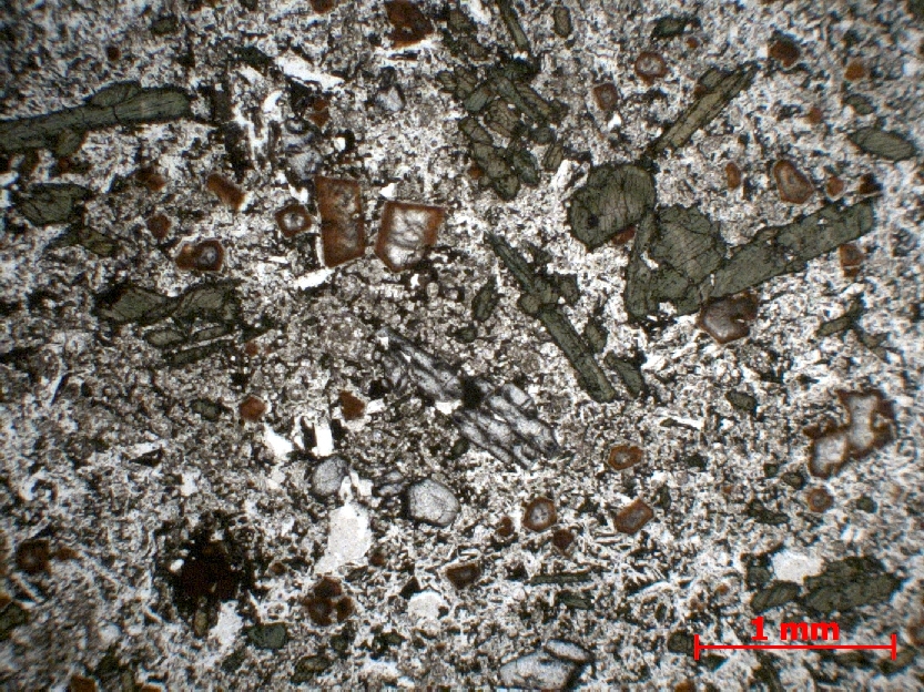  Microscope Basanite Basanite à haüyne et néphéline    