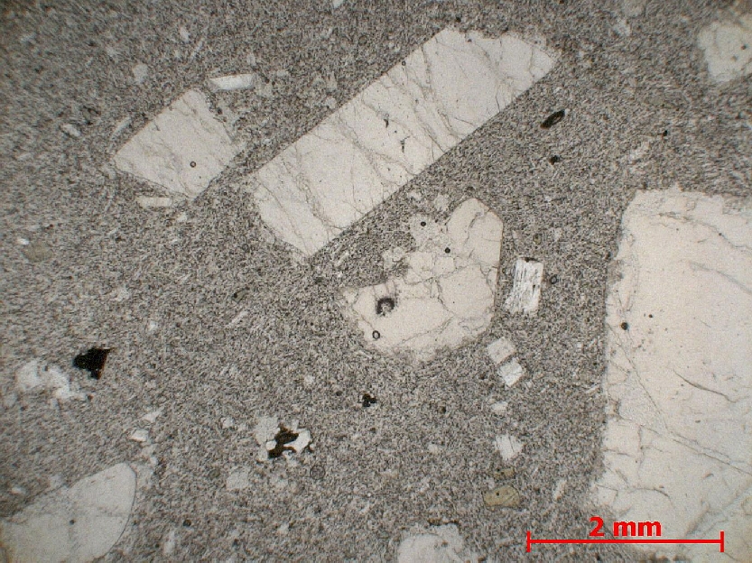  Microscope Basanite Basanite à leucite  Ile de l’Ascension  
