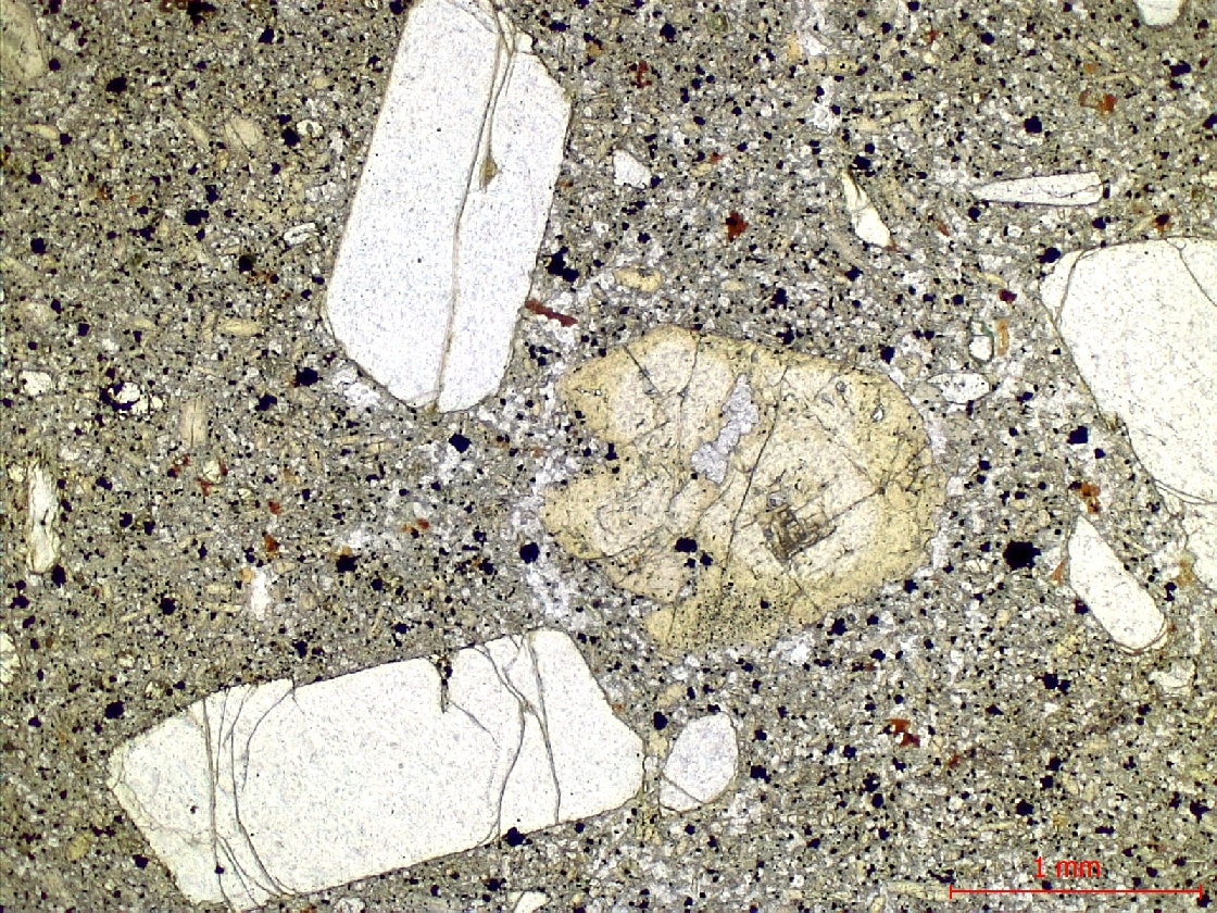  Microscope Basanite à olivine et néphéline Basanite à olivine et néphéline Massif de Bohême  Adorf 