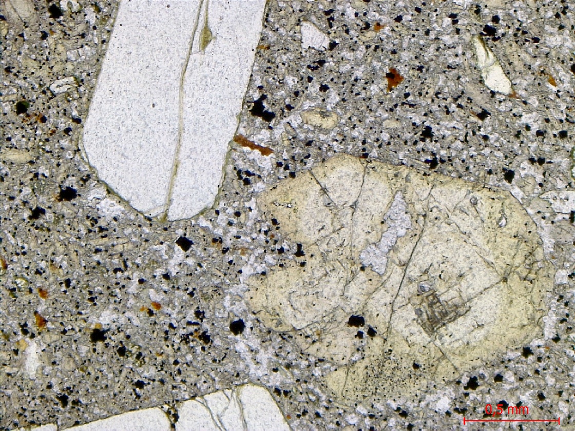  Microscope Basanite à olivine et néphéline Basanite à olivine et néphéline Massif de Bohême  Adorf 