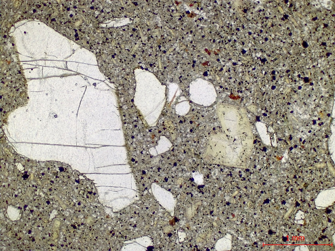  Microscope Basanite à olivine et néphéline Basanite à olivine et néphéline Massif de Bohême  Adorf 