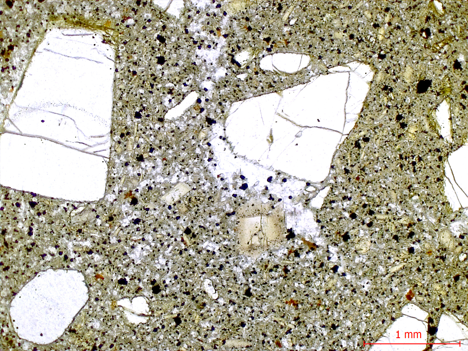 Basanite à olivine et néphéline Basanite à olivine et néphéline Massif de Bohême  Adorf 