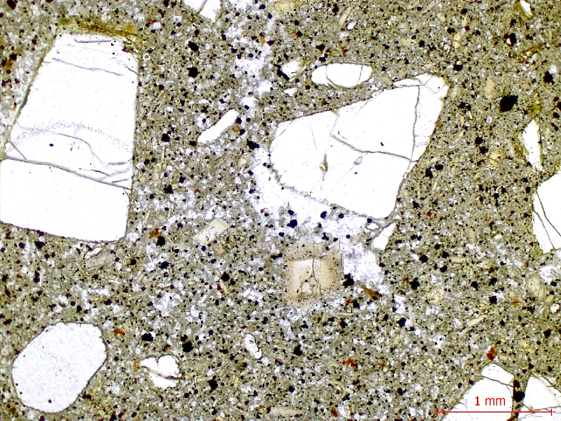  Microscope Basanite à olivine et néphéline Basanite à olivine et néphéline Massif de Bohême  Adorf 