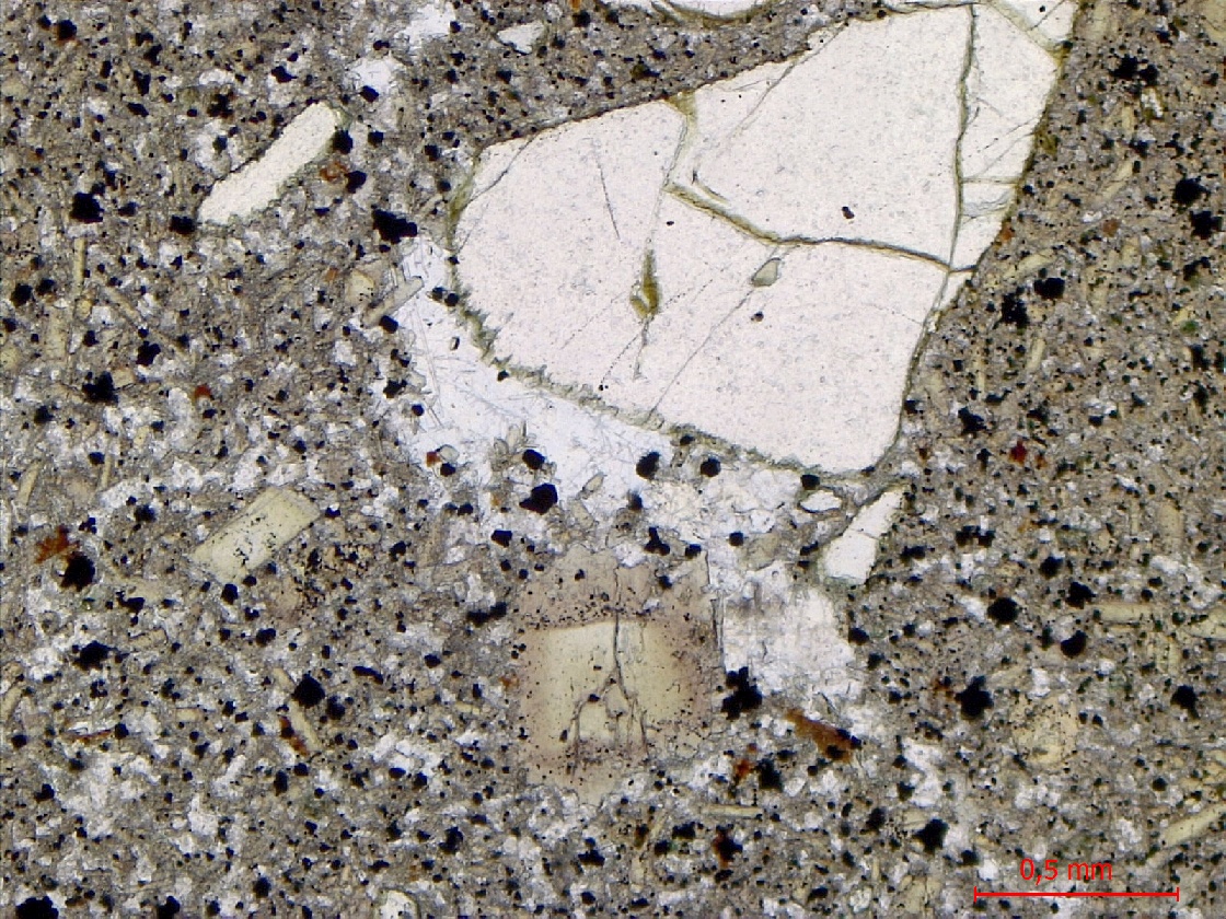  Microscope Basanite à olivine et néphéline Basanite à olivine et néphéline Massif de Bohême  Adorf 