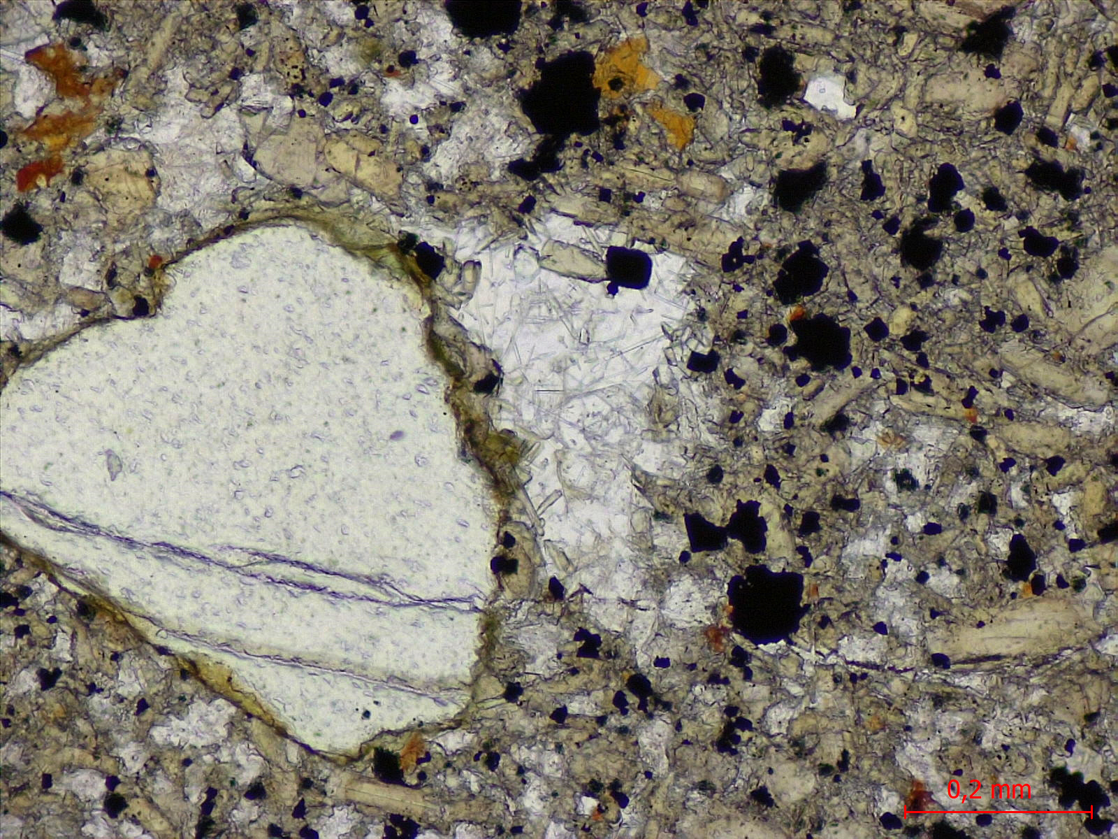 Basanite à olivine et néphéline Basanite à olivine et néphéline Massif de Bohême  Adorf 