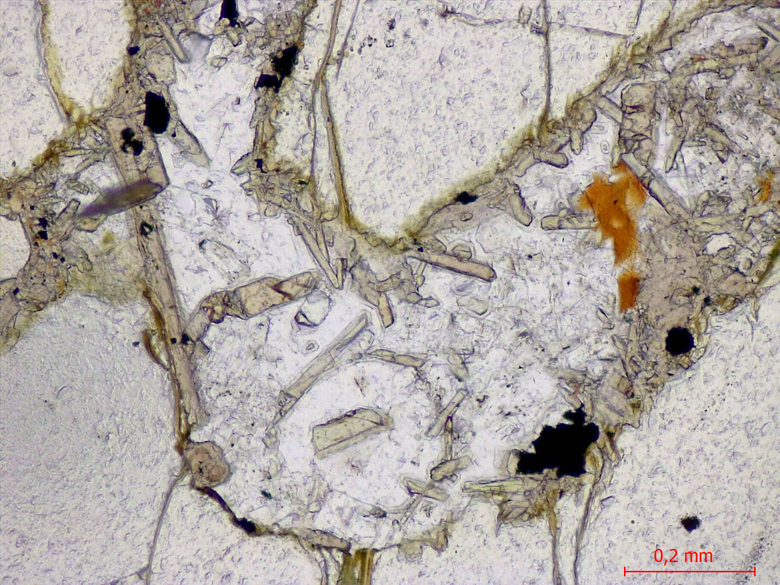 Basanite à olivine et néphéline Basanite à olivine et néphéline Massif de Bohême  Adorf 