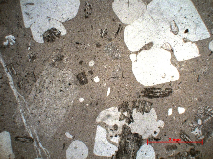  Microscope Rhyodacite Rhyodacite    