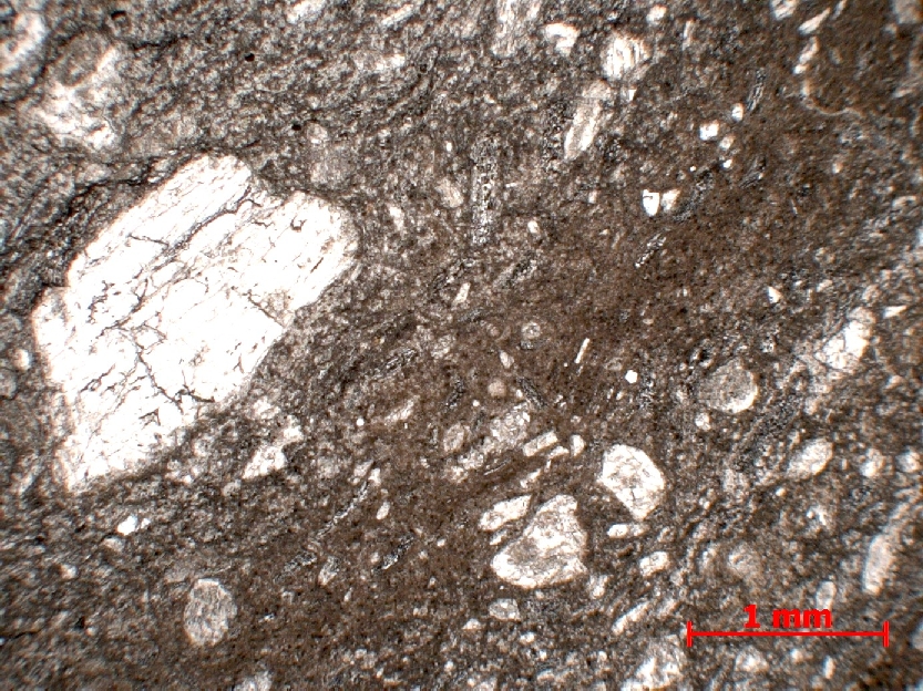  Microscope Brèche pyroclastique Brèche pyroclastique stratifiée  Monts du maconnais Pruzilly Carrière des Malatrays