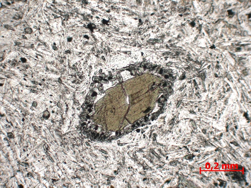  Microscope Phonolite Phonolite de la Roche Sanadoire Massif central Mont Dore Orcival La roche Sanadoire